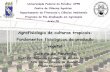Agrofisiologia do pimentão apresentação