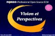 Nuxeo  Summer Seminar 2007 - Vision And Market (FR)