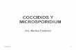 coccideos y microsporidium