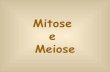 Mitose meiose completa