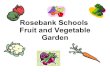 Rosebank Garden