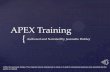 Apex training1