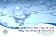 All About Iron In Your Water