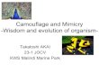 Camouflage and mimicry wisdom and evolution of organism- 偽装と擬態 -生物の知恵と進化-