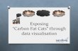Exposing "Carbon Fat Cats" through data visualisation