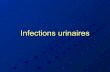 Infections urinaires final