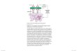 Roitt chapter 2_specific acquired immunity