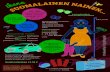Ihana suomalainen nainen infograafi