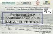 Natura Epa 05   Perturbacion Y Contaminacion De La BahíA El Ferrol Blg  Romulo Loayza