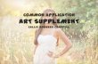 Common Application Art Supplement