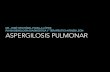 Aspergilosis pulmonar