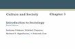 Vermette - PP - Chapter 3 - Culture and society