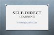 Self direct learning (lasted)