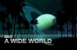 BS3 / U9 - A  Wide World