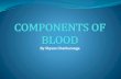 4 Components of Blood And Their Functions