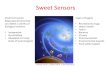 Sweet sensors lecture 7 partners