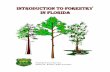 Complete intro forestry_florida