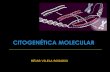 Citogenética molecular