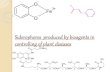 Siderophores  produced by bioagents in controlling of plant diseases