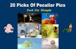 20 Picks Of Peculiar Pics