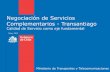 Guillermo Maureira - Transantiago - Renegociación de Contractos de Servicios Complementarios