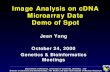 image102000.ppt - Image Analysis on cDNA Microarray Data Demo of Spot