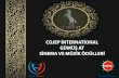 Cojep İnternational Gümüş At Ödülleri