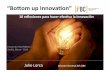 Bottom up Innovation. Julio Lorca. Spain
