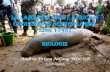 La biologie du lamantin ouest africain