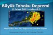 Tohoku Depremi ve Özellikleri