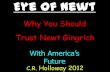 Newt Gingrich  Eye Of Newt