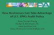 How Businesses Can Take Advantage of U.S. EPA\'s Audit Policy