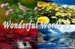 Wonderful world.(11)pps