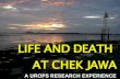 Life And Death At Chek Jawa Editted verson