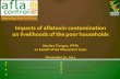 Impacts of aflatoxin contamination on livelihoods of the poor households