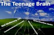 Teenage brain with audio chantilly hs
