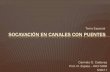 Calderas 5006-11-socavacion canalespuentes