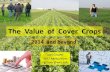 Value of Cover Crops