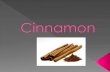Medicinal uses of Cinnamon.