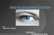 Final iris recognition