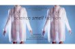 Jenny Tillotson: Science, Smell, Fashion