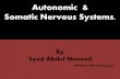 Autonomic &Somatic Nervous Systems.
