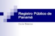 Guia Registro Público
