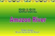 Amazon River, the more voluminous of the world