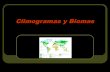 Climogramas y biomas_1