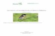 Inventory of nesting birds of Quarry Ribnica, Bosnia and Hercegovina