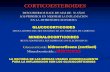 Corticoesteroides clase farmacol meidicina