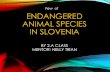 Endangered Animal Species in Slovenia