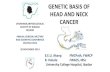 Genetic basis of head and neck cancer