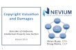 Copyright valuation damages nevium 2013